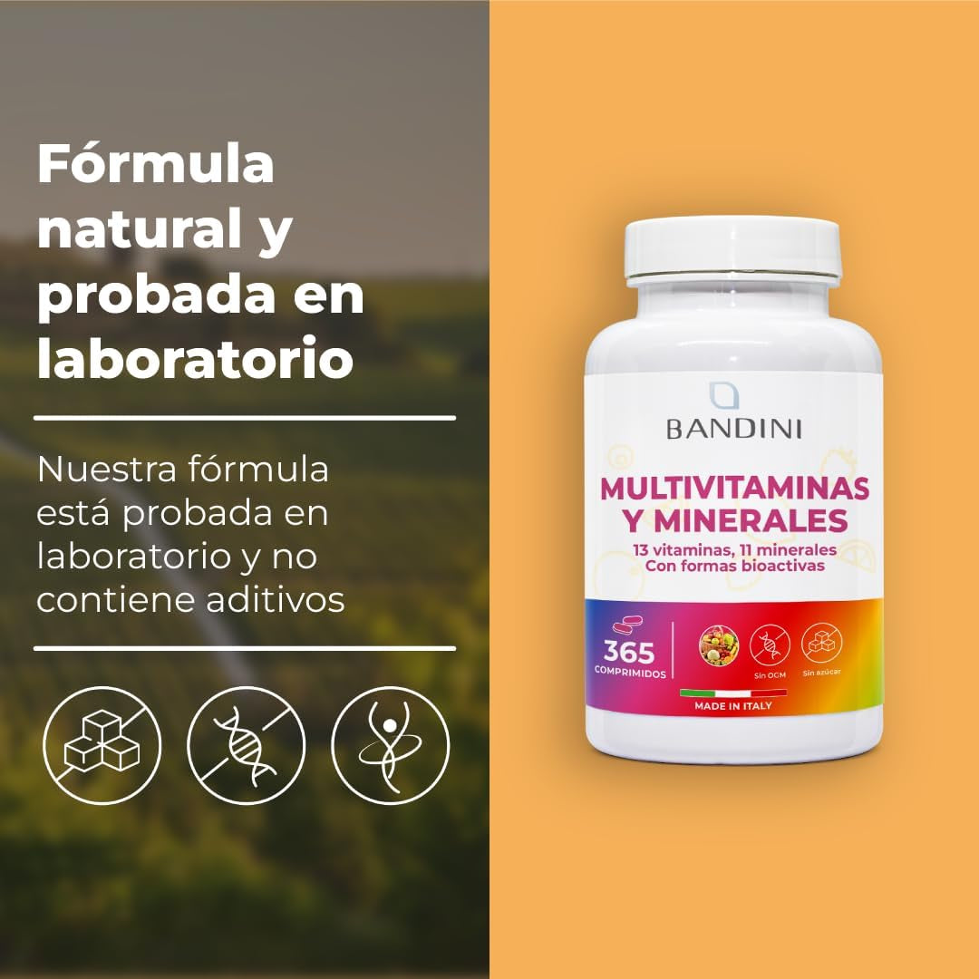 Bandini® Multivitaminas Hombre Y Mujer Con Minerales, 365 Comprimidos (1 Año), Vitamina C, Vitamína B, D, E, Magnesio, Zinc, Calcio, Hierro Y Más, 13 Vitaminas Y 11 Minerales, Multivit Antioxidante