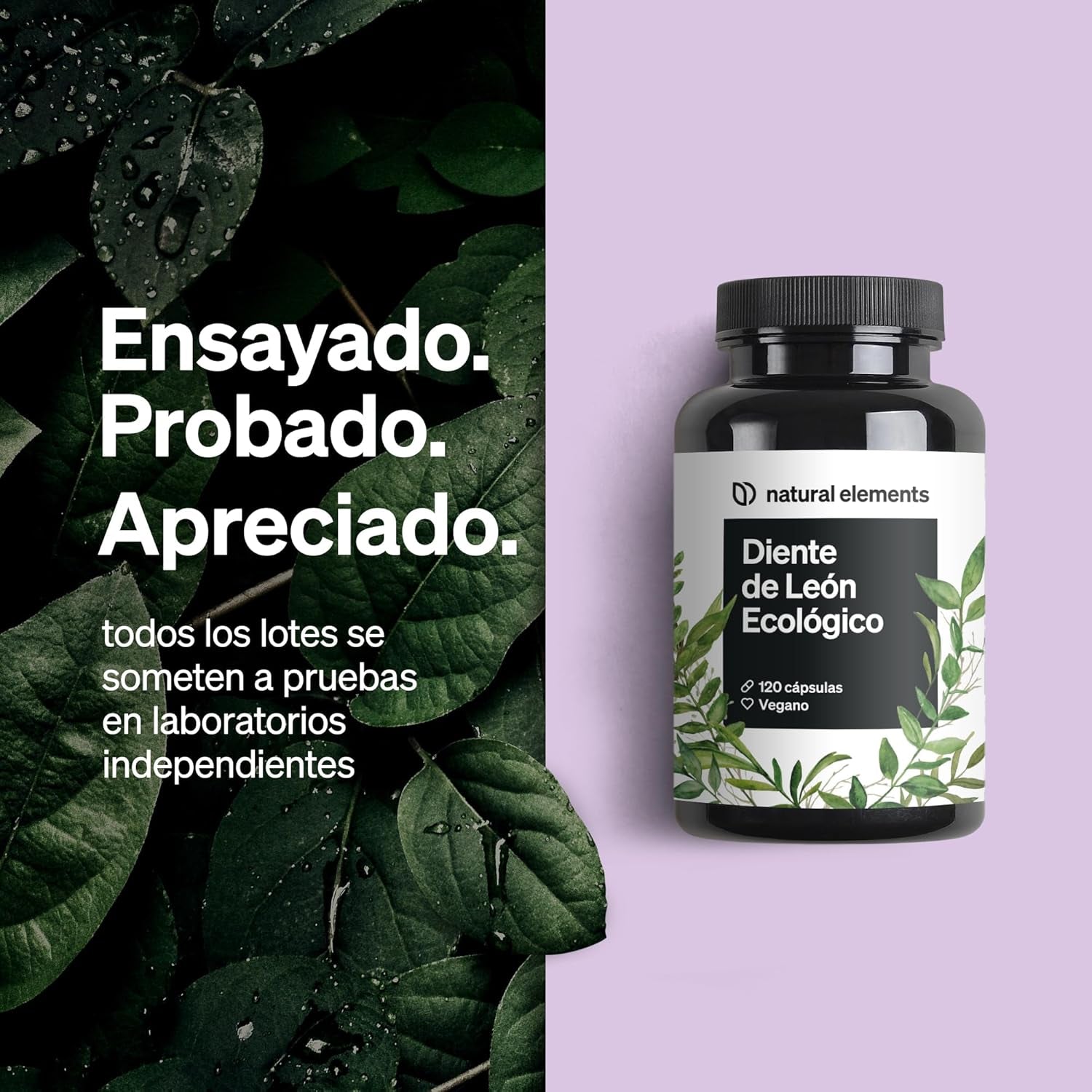 Diente De León Ecológico (10:1) - 1.000 Mg De Extracto De Raíz De Diente De León Por Dosis Diaria 