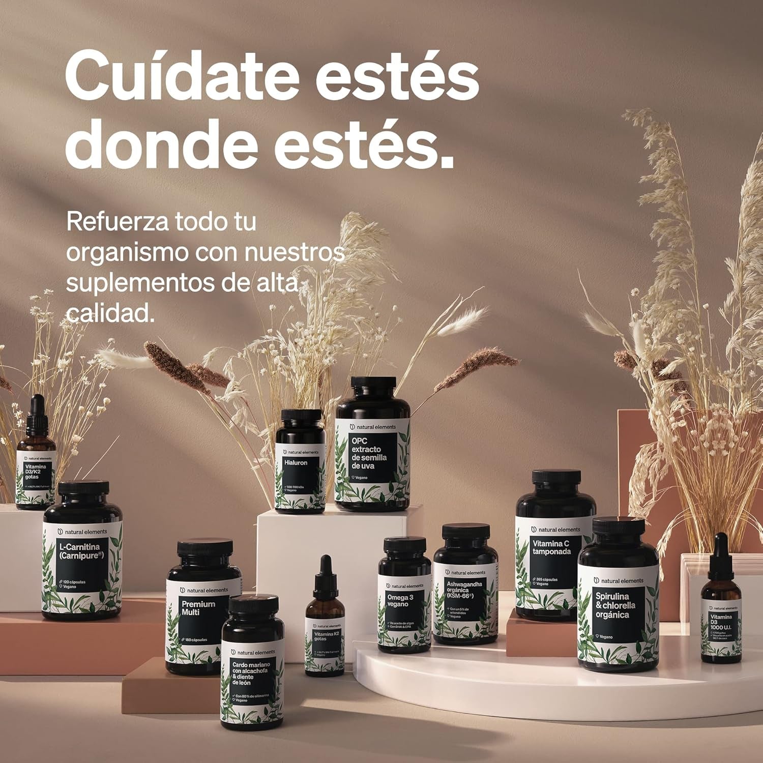 Diente De León Ecológico (10:1) - 1.000 Mg De Extracto De Raíz De Diente De León Por Dosis Diaria 